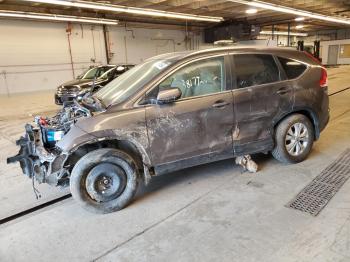  Salvage Honda Crv