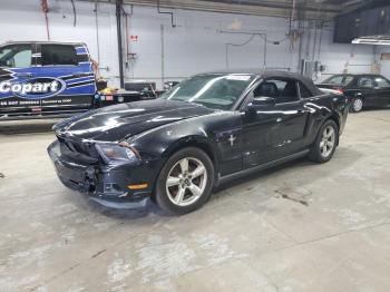  Salvage Ford Mustang