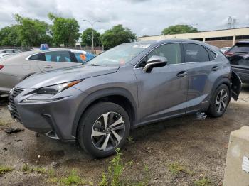  Salvage Lexus NX