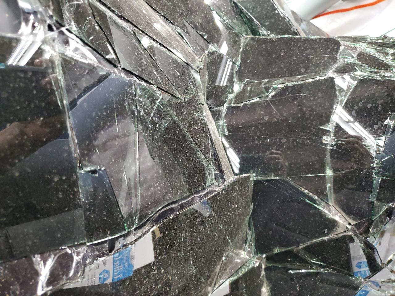 Tesla Model Y Image 13