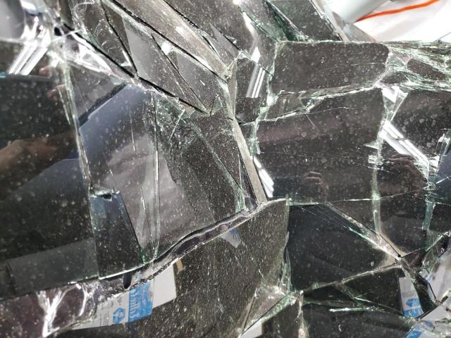 Tesla Model Y Image 13