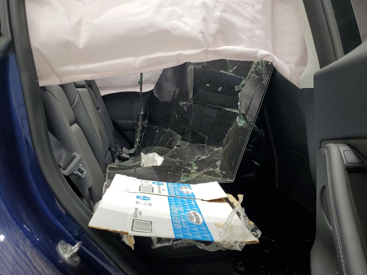 Tesla Model Y Image 7