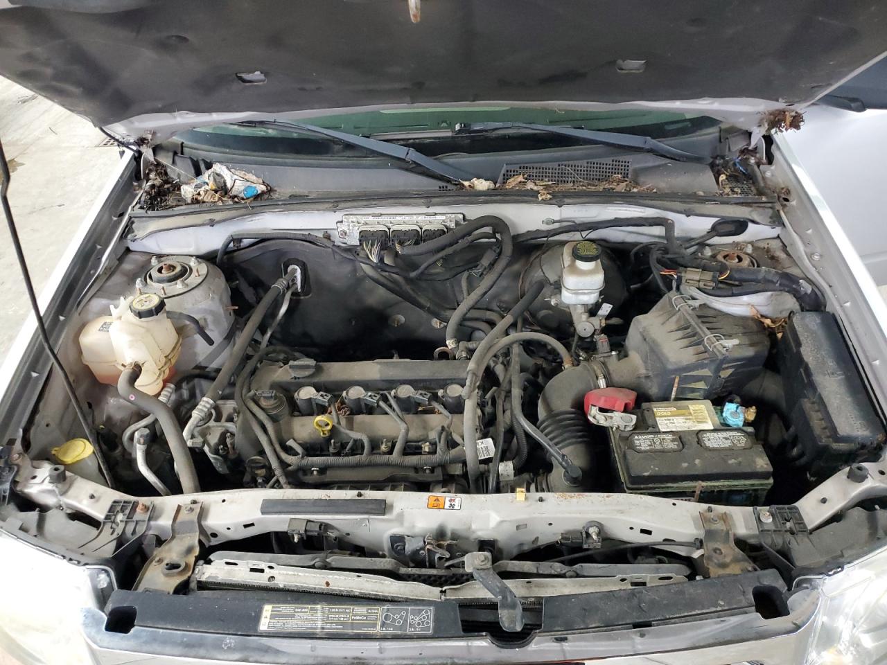 Ford Escape Xlt Image 7