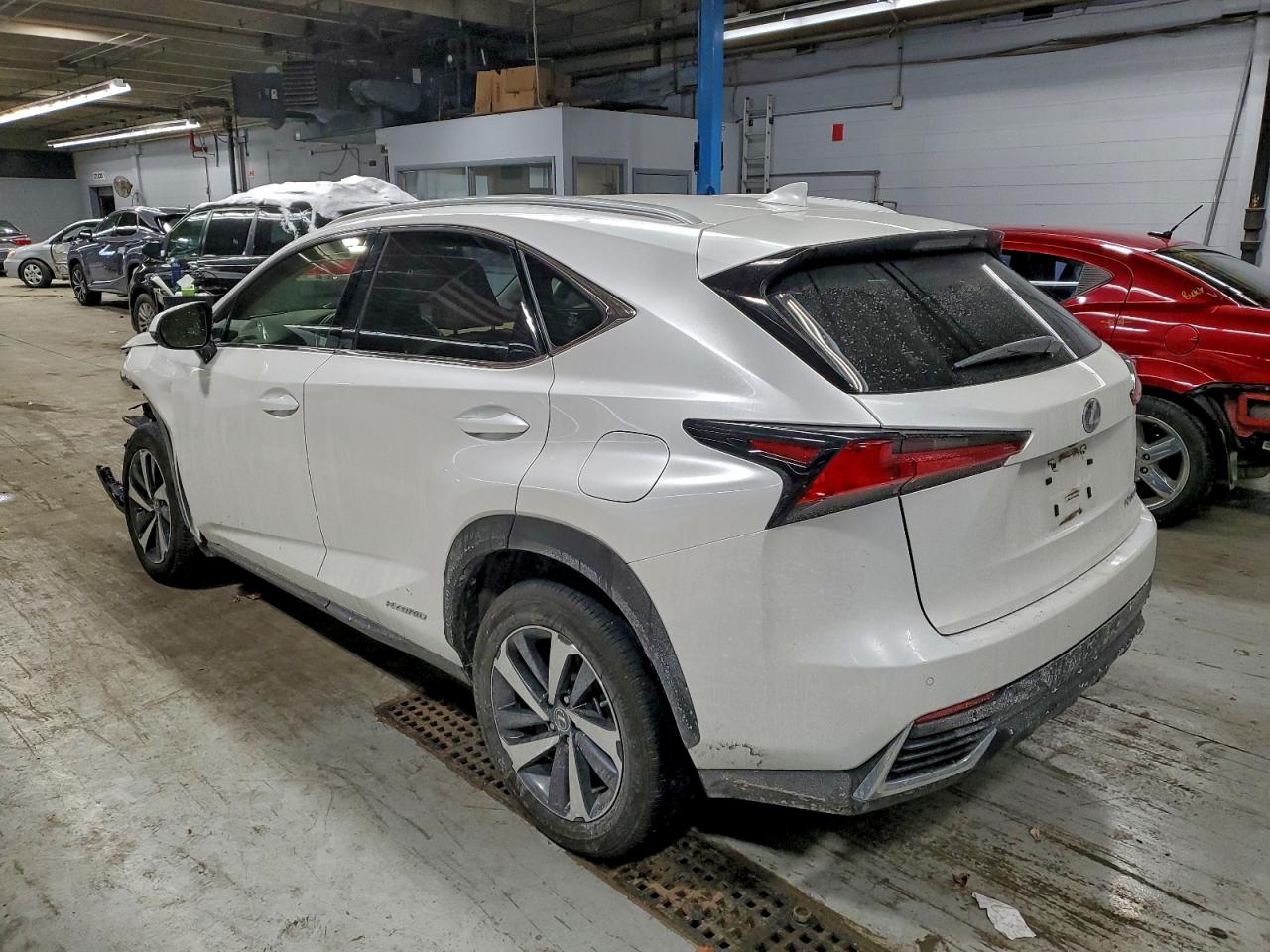 Lexus NX 300h Image 3
