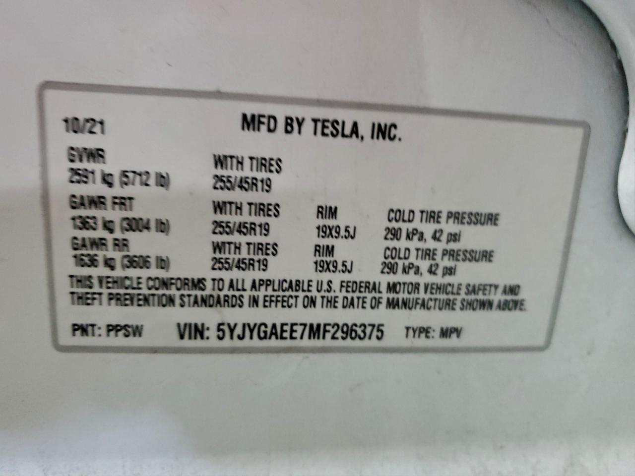 Tesla Model Y Image 10